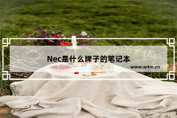 Nec是什么牌子的笔记本