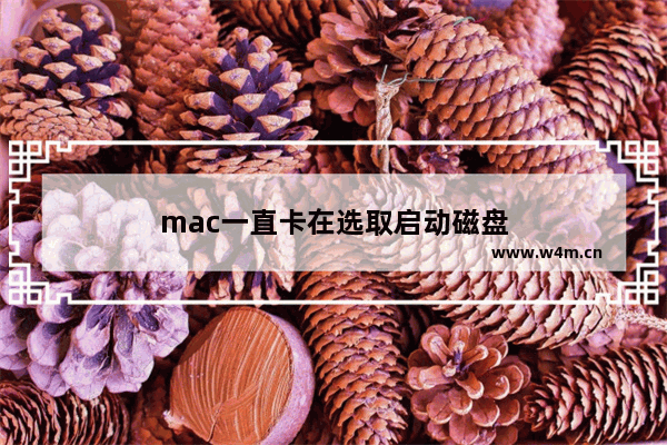 mac一直卡在选取启动磁盘