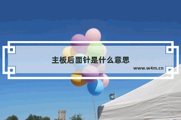 主板后面针是什么意思