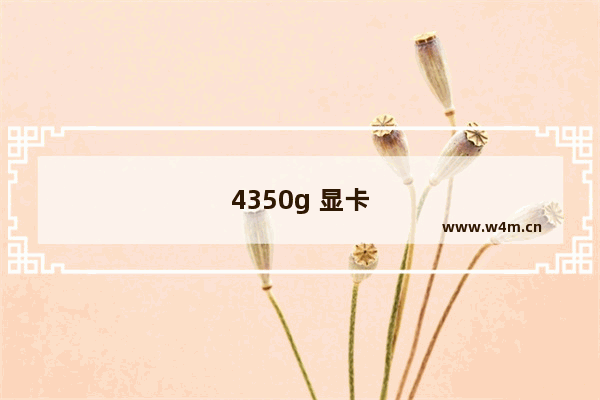 4350g 显卡