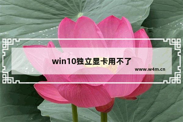 win10独立显卡用不了