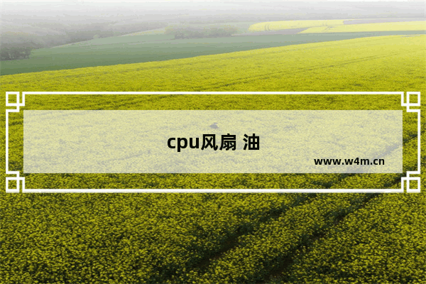 cpu风扇 油