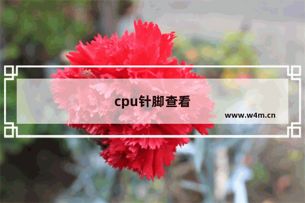 cpu针脚查看