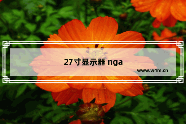 27寸显示器 nga