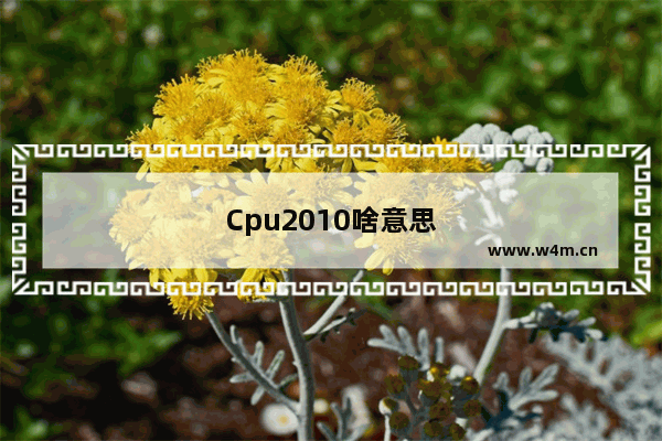 Cpu2010啥意思