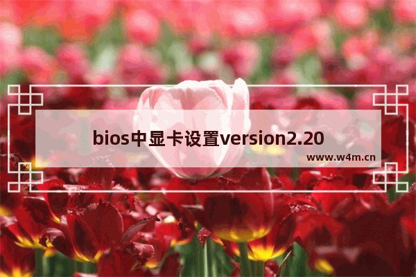 bios中显卡设置version2.20