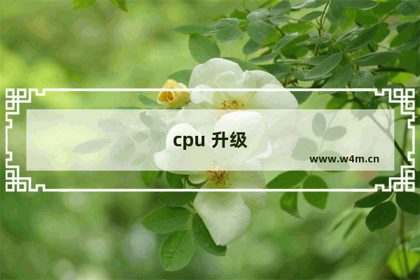 cpu 升级