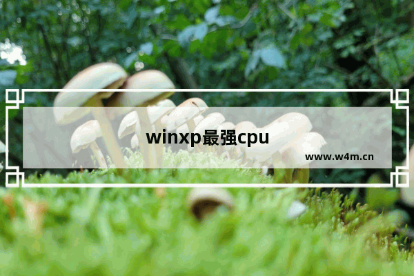 winxp最强cpu