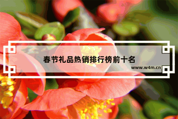 春节礼品热销排行榜前十名