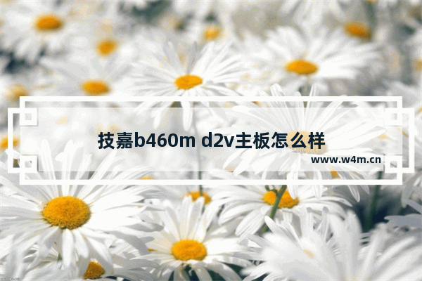 技嘉b460m d2v主板怎么样