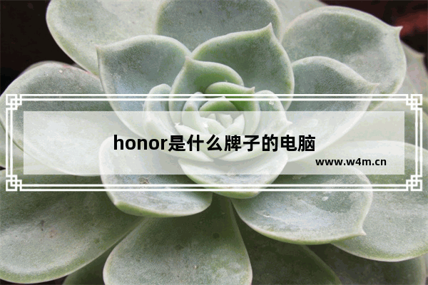 honor是什么牌子的电脑