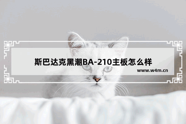 斯巴达克黑潮BA-210主板怎么样