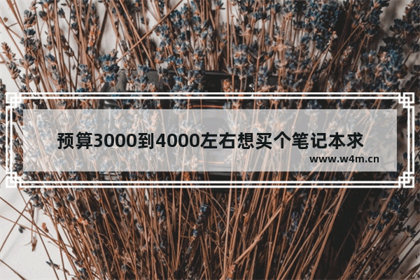 预算3000到4000左右想买个笔记本求推荐 准备双十一购入