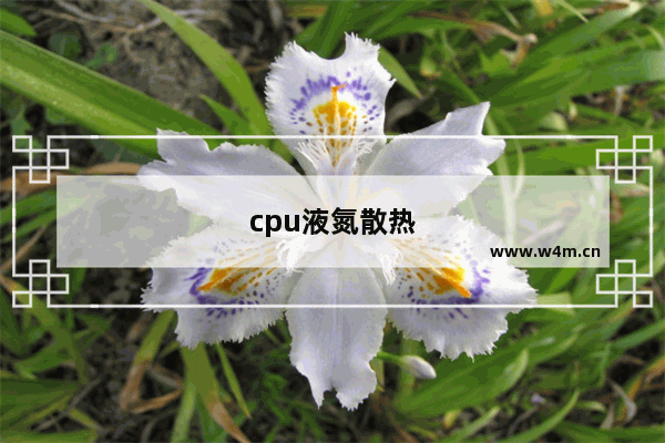 cpu液氮散热