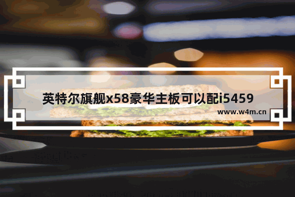 英特尔旗舰x58豪华主板可以配i54590处理器吗