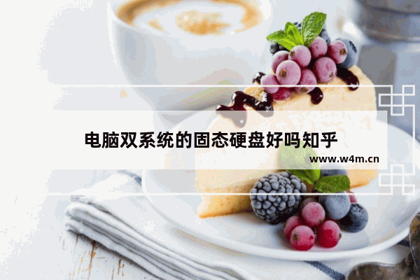 电脑双系统的固态硬盘好吗知乎