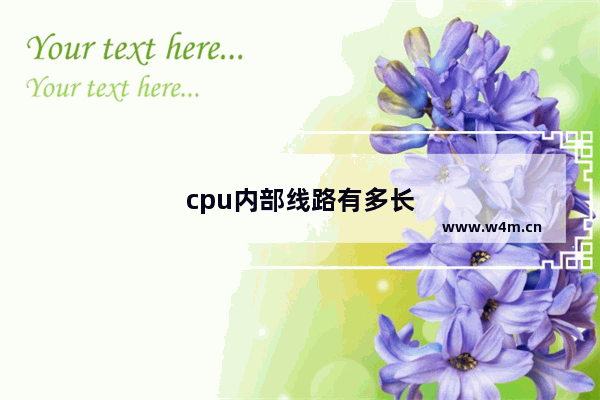 cpu内部线路有多长