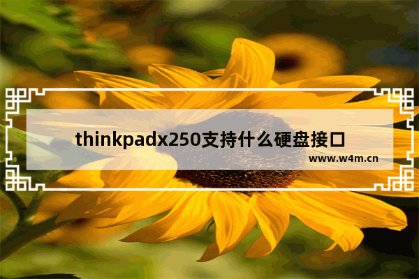 thinkpadx250支持什么硬盘接口