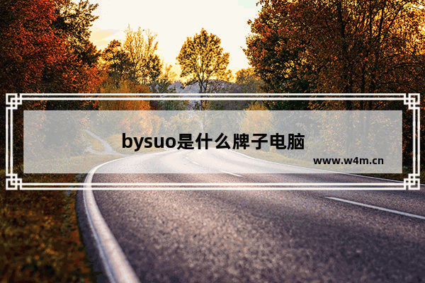 bysuo是什么牌子电脑