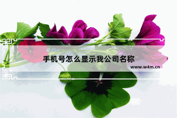 手机号怎么显示我公司名称