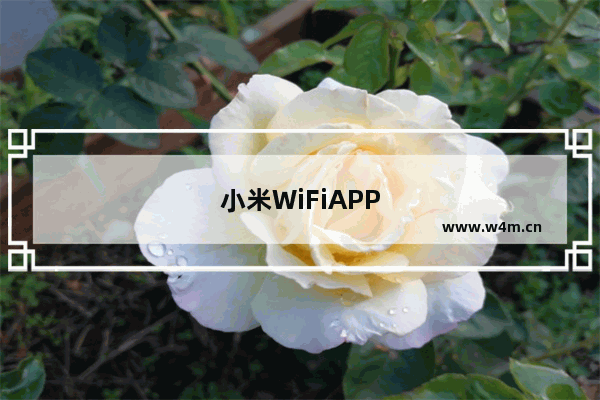 小米WiFiAPP