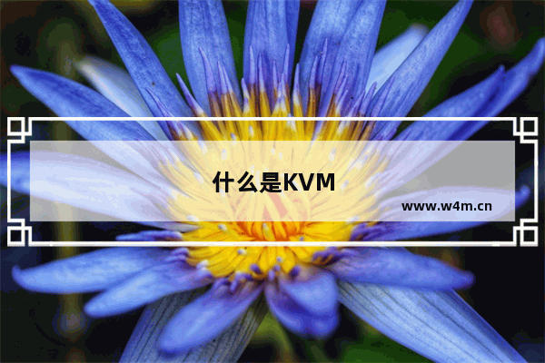 什么是KVM