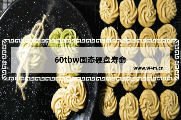 60tbw固态硬盘寿命