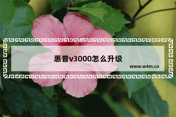 惠普v3000怎么升级