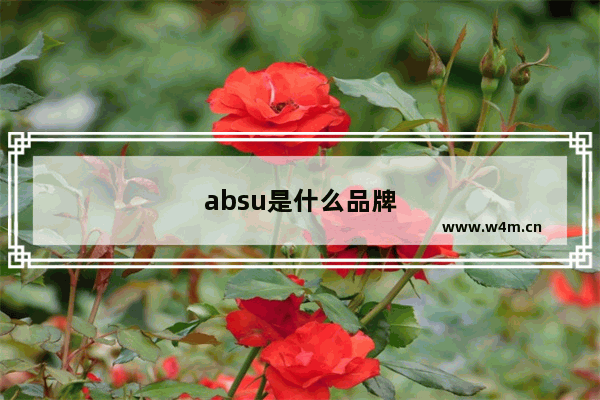 absu是什么品牌