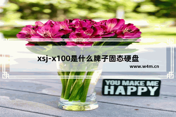 xsj-x100是什么牌子固态硬盘