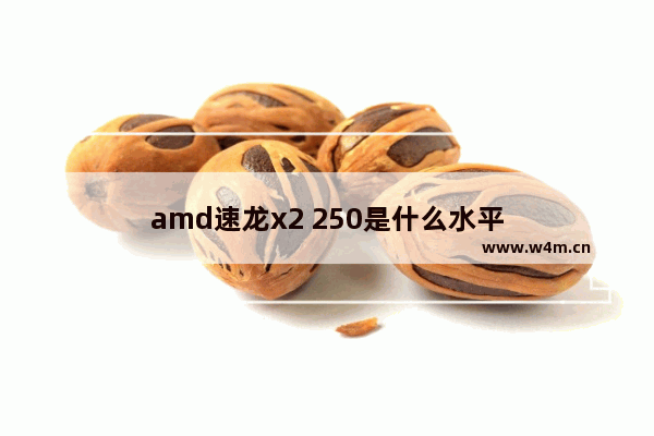 amd速龙x2 250是什么水平