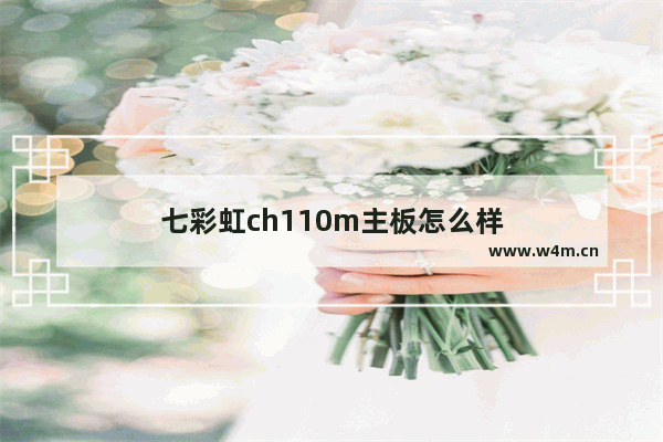 七彩虹ch110m主板怎么样