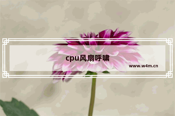 cpu风扇呼啸