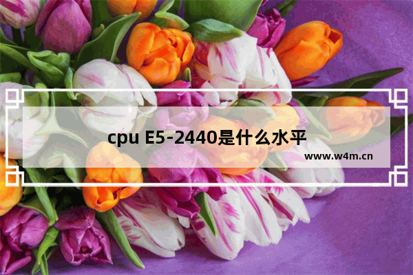 cpu E5-2440是什么水平