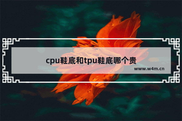 cpu鞋底和tpu鞋底哪个贵