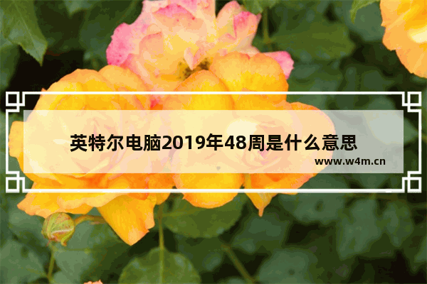 英特尔电脑2019年48周是什么意思