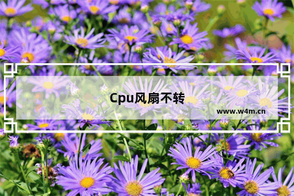 Cpu风扇不转