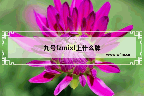 九号fzmixl上什么牌