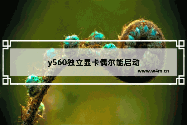 y560独立显卡偶尔能启动