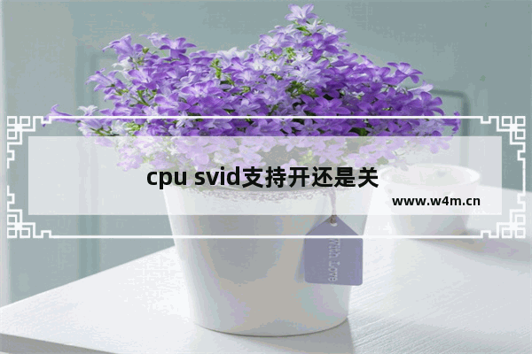 cpu svid支持开还是关 