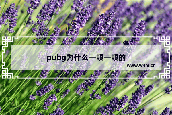 pubg为什么一顿一顿的