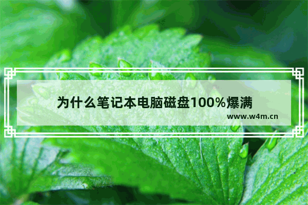 为什么笔记本电脑磁盘100%爆满