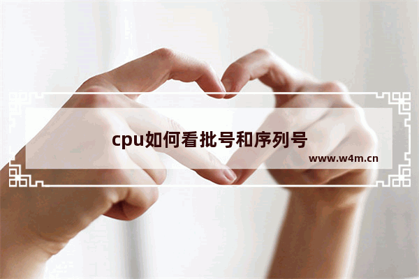 cpu如何看批号和序列号