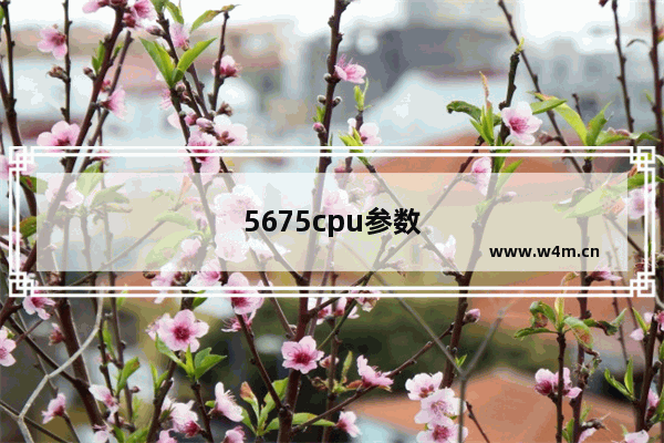 5675cpu参数