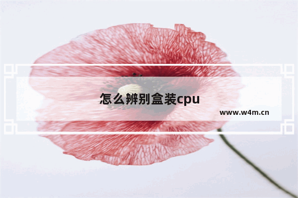 怎么辨别盒装cpu