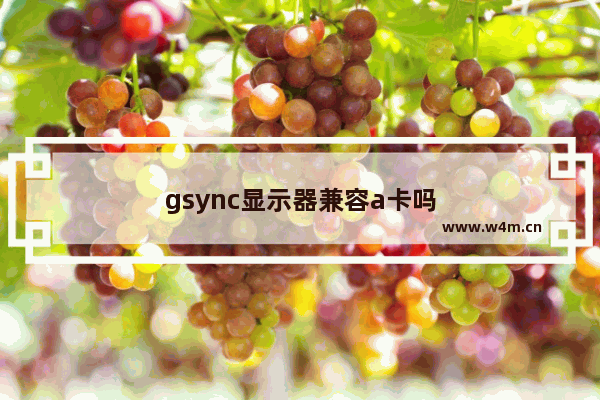 gsync显示器兼容a卡吗