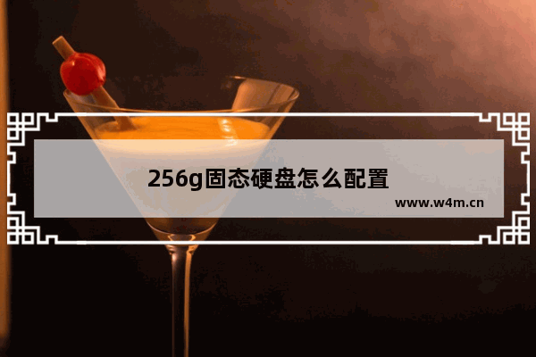 256g固态硬盘怎么配置