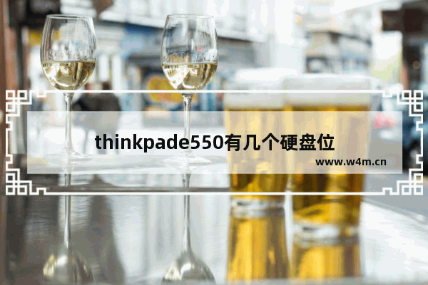 thinkpade550有几个硬盘位