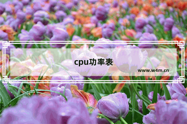 cpu功率表