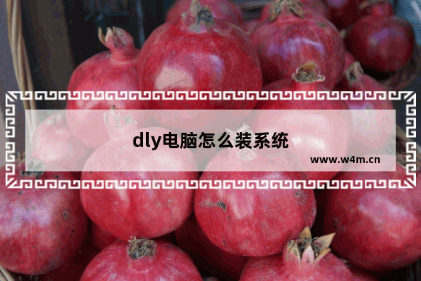 dly电脑怎么装系统